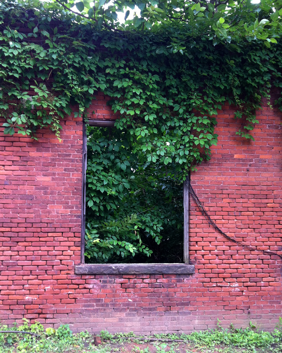 Overgrown Window © Bentley Photgraphy, Winder, GA